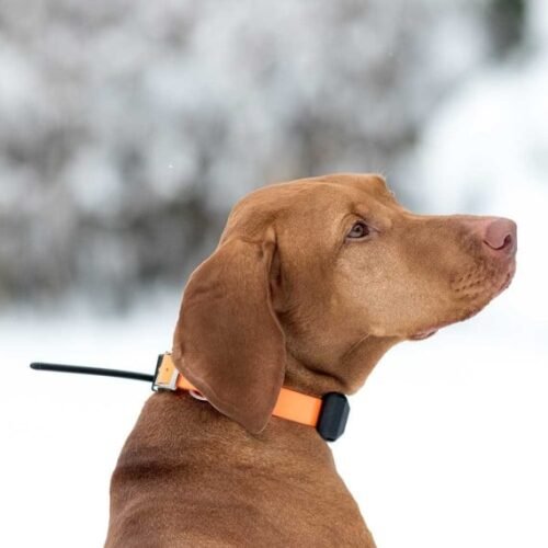 Pack ARCEA Dog GPS X30-TB – Image 2