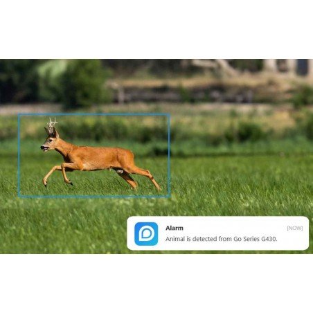 Reolink Go G450 - Caméra 4G sans Fil 360° avec Vision Nocturne – Image 5