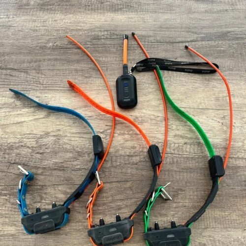 Dogtra Pathfinder V1 avec 3 colliers