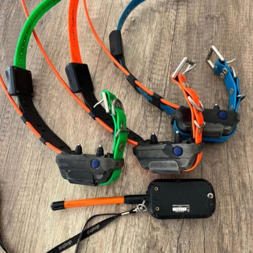 Dogtra Pathfinder V1 avec 3 colliers