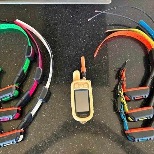 Pack Garmin Alpha 100 avec 6 colliers (3 TT25, 3 TT20)
