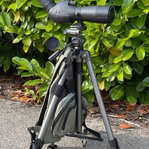 Longue-vue Zeiss Diascope 65mm (Occasion)