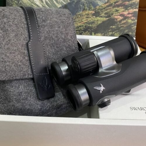 Jumelles CL Companion 10×30 anthracite NORTHERN LIGHTS