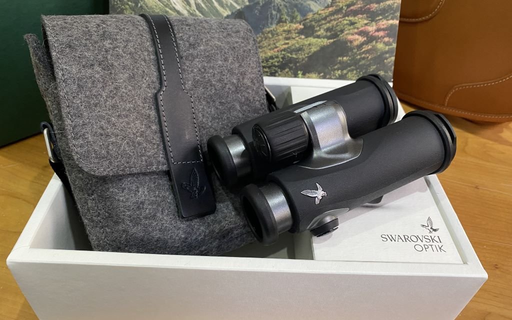 Jumelles CL Companion 10x30 anthracite NORTHERN LIGHTS – Image 2