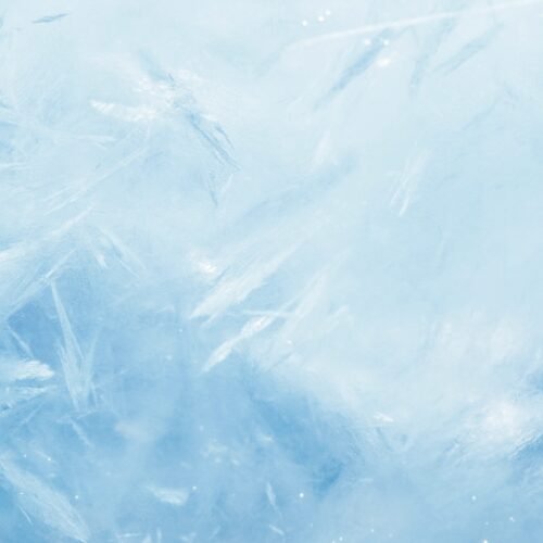 Bac Isotherme Professionnel OLIVO 70 – Technologie Rotomoulée