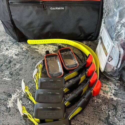 Pack Garmin Alpha 100 + 2 Colliers T5 (Occasion)