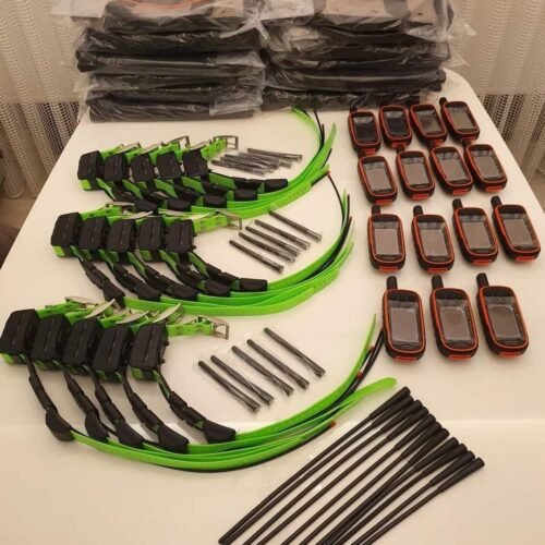 Garmin Alpha 100 + 6 Colliers TT15 (Occasion État Neuf)