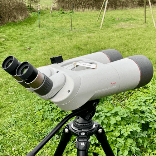 Jumelles Kowa High Lander Prominar (Lentilles Fluorite)