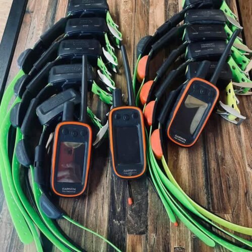 Pack Garmin Alpha 100 & 10 colliers TT15