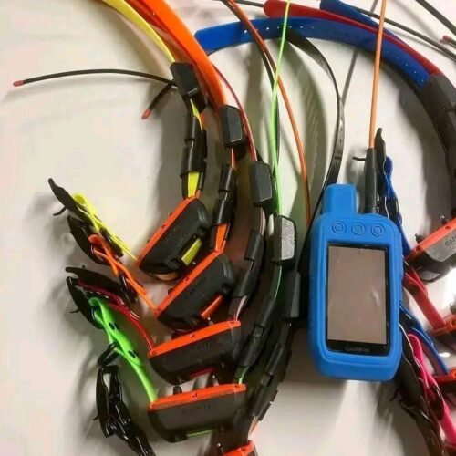 Pack Garmin Alpha 300 & 5 Colliers TT25